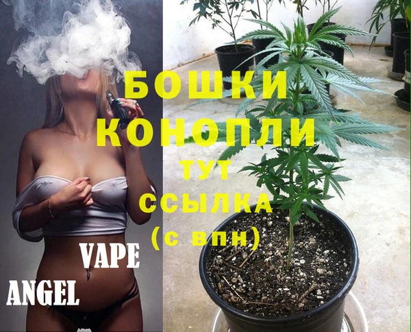 трава Осташков