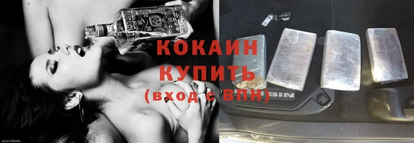 индика Осинники