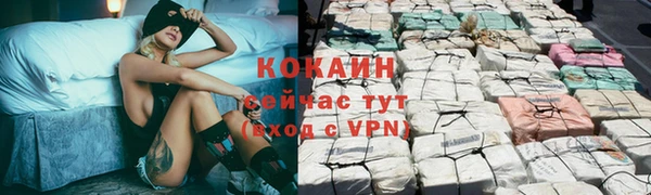 индика Осинники