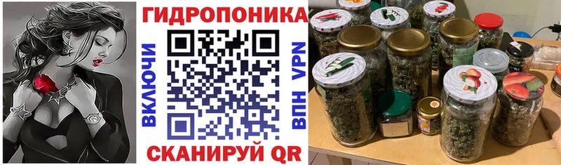 где купить наркоту МЕГА ONION Шишки марихуана ГИДРОПОН Спас-Клепики